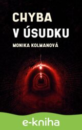 Chyba v úsudku