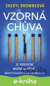 Vzorná chůva
