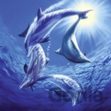 Hra delfínov