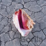 The Killers: Wonderful Wonderful (Deluxe)