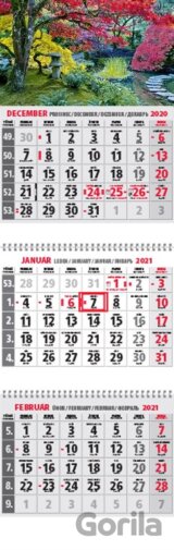 Klasik 3-mesačný sivý nástenný kalendár 2021 - park