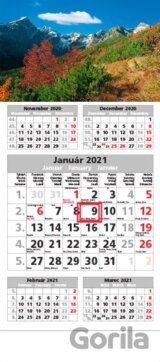 Štandard 5-mesačný sivý nástenný kalendár 2021 - jesenná krajina