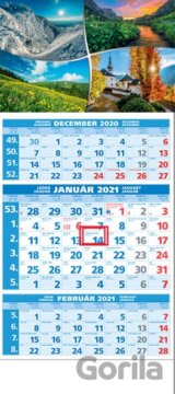 Štandard 3-mesačný modrý nástenný kalendár 2021 - štyri ročné obdobia