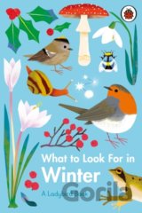 What to Look For in Winter