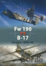 Fw 190 vs B–17
