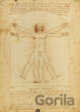 Leonardo, Vitruvian Man