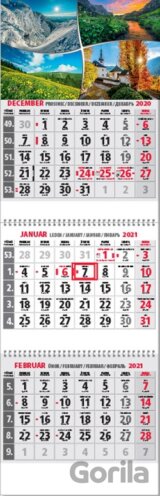 Klasik 3-mesačný sivý nástenný kalendár 2021 - štyri ročné obdobia