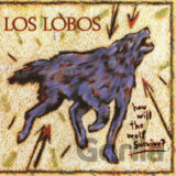 Los Lobos: How will the Wolf Survive