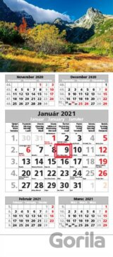 Štandard 5-mesačný sivý nástenný kalendár 2021 - hory