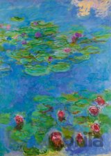 Claude Monet - Water Lilies, 1917
