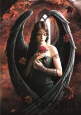 Anne Stokes - Angel Rose