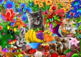 Kitten Fun