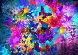 Flowers and Butterflies