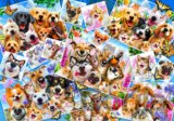 Selfie Pet Collage