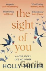 The Sight of You : A love story like no other