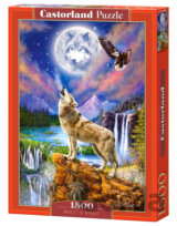Wolf's night