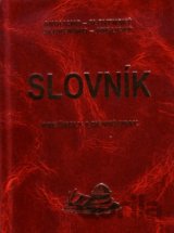 Anglicko-slovenský, slovensko-anglický slovník pre školy a dennú prax