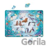 Puzzle rámové Zvířata Antarktidy