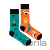 Ponožky Feetee Dinosaur S