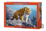 Tiger on the Rocks