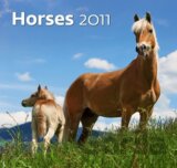 Horses 2011