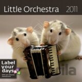Little Orchestra 2011