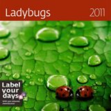 Ladybugs 2011