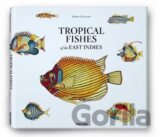 Samuel Fallours: Tropical Fishes of the East Indies