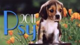 Psy 2011