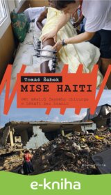 Mise Haiti