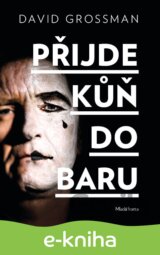 Přijde kůň do baru