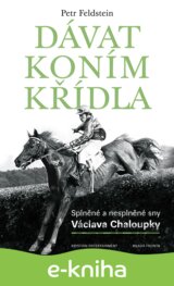 Dávat koním křídla