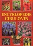 Encyklopedie cibulovin
