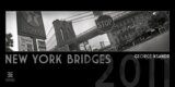 New York Bridges 2011