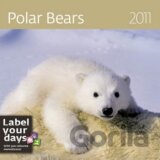 Polar Bears 2011