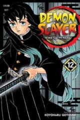 Demon Slayer: Kimetsu no Yaiba (Volume 12)