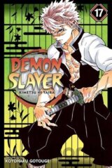 Demon Slayer: Kimetsu no Yaiba (Volume 17)