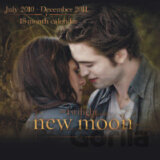 Twilight Saga: New Moon (July 2010 - December 2011)