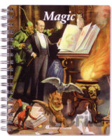 Magic - Diaries 2011