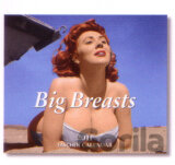 Big Breasts - Tear-off calendars 2011