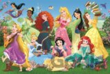 Disney Princess  / Okouzlující princezny