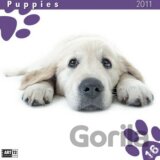 Puppies 2011