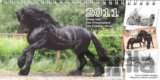 Fríský kůň / Das Friesenpferd / The Friesian Horse