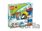 LEGO Duplo 5633 - Polárna zoo