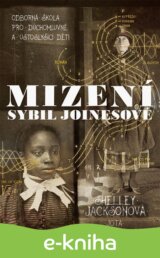 Mizení Sybil Joinesové