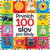 Prvních 100 slov pro šikuly