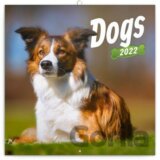 Poznámkový kalendář Dogs 2022