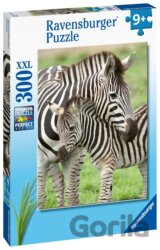 Oblíbené zebry