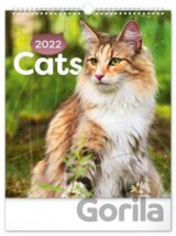 Nástěnný kalendář Cats 2022