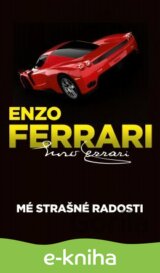 Mé strašné radosti
